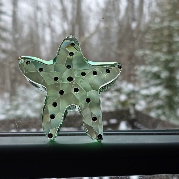 Tropical Starfish paperweight Aqua Crystal Sea Green 4" desk decor beach - Picture 6 of 7